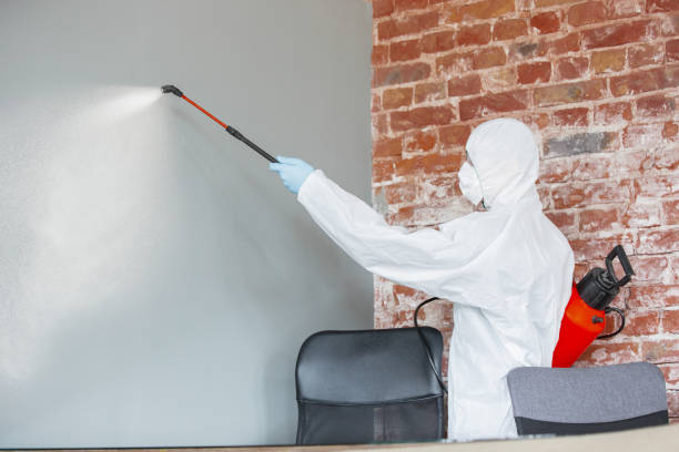 Best Mold Documentation for Insurance Claims  in Miami, AZ