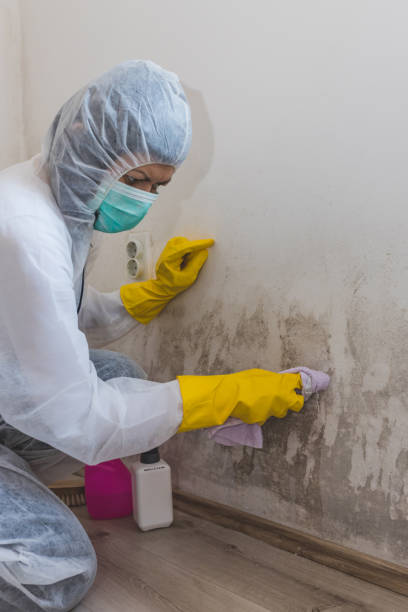 Best Industrial Mold Remediation  in Miami, AZ