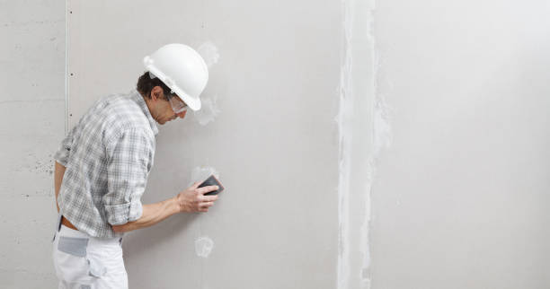 Best Environmental Consulting for Mold Prevention  in Miami, AZ