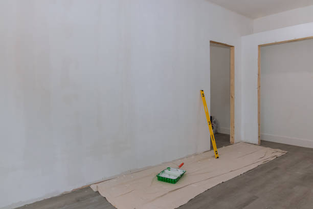 Best Mold Odor Removal Services  in Miami, AZ