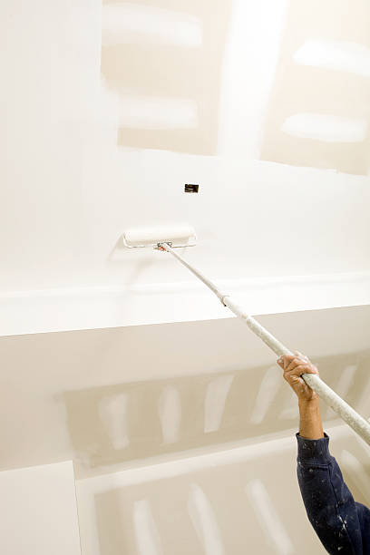 Best Attic Mold Removal  in Miami, AZ