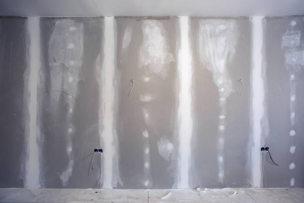 Reliable Miami, AZ Mold Removal Solutions